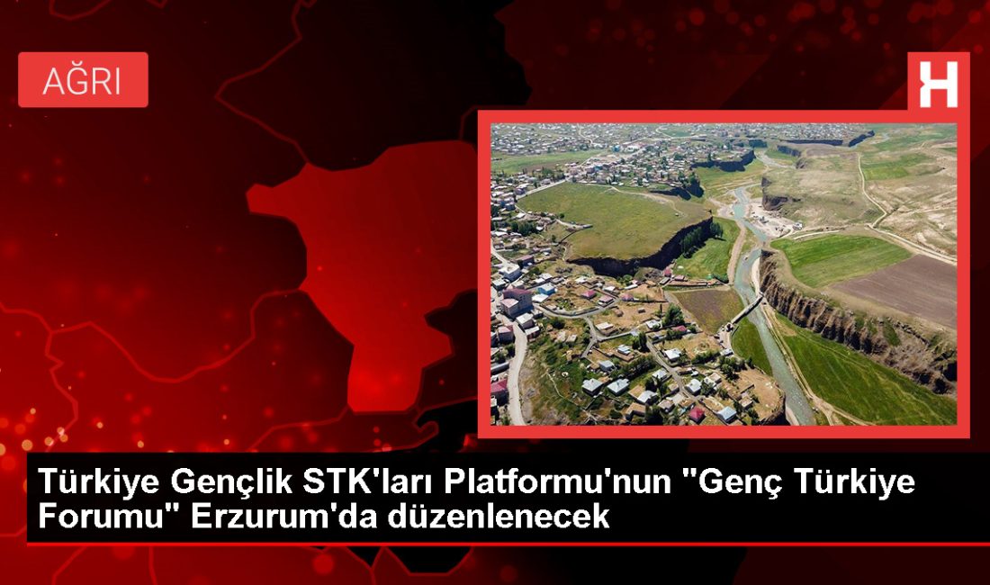 Türkiye Gençlik STK'ları Platformu